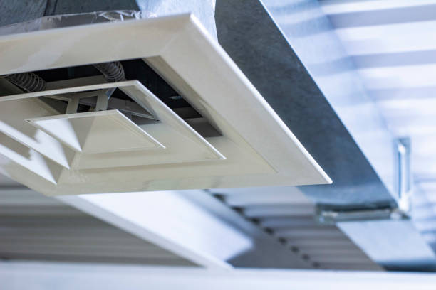 Best Home Air Vent Cleaning  in Cascade Chipita Park, CO