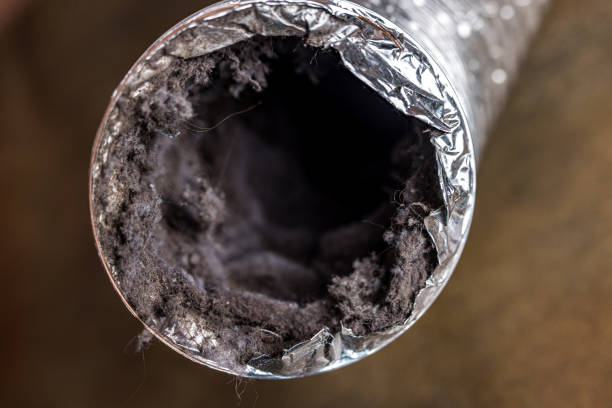 Best Commercial HVAC Duct Cleaning  in Cascade Chipita Park, CO